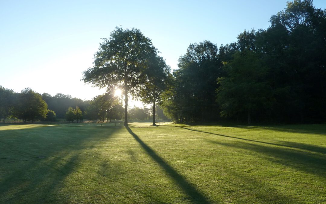 Frühmorgens auf dem Golfplatz